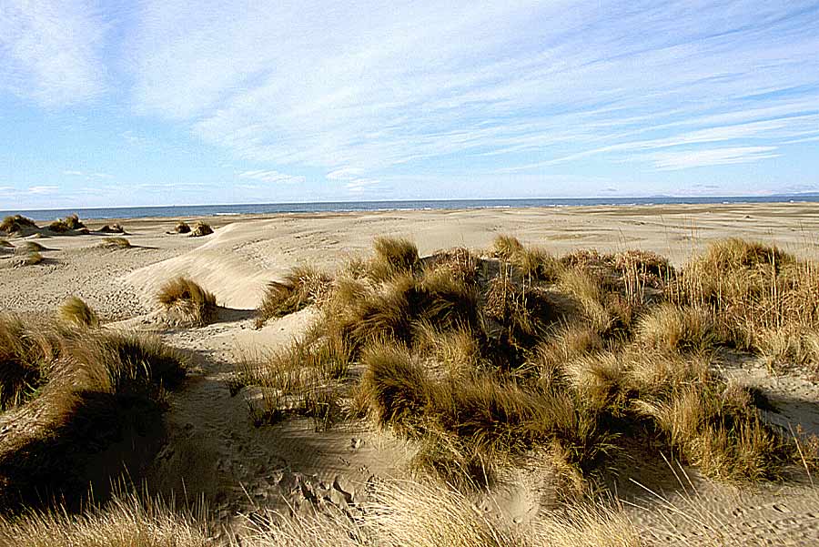 00dunes-6-e