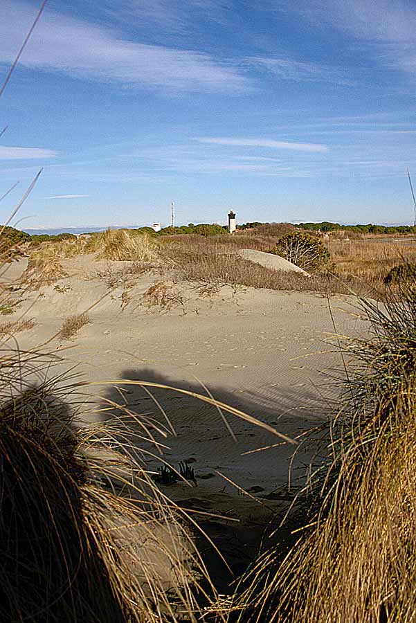 00dunes-7-e