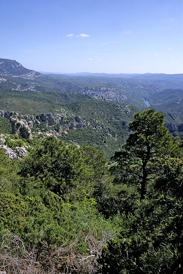00foret-10-e