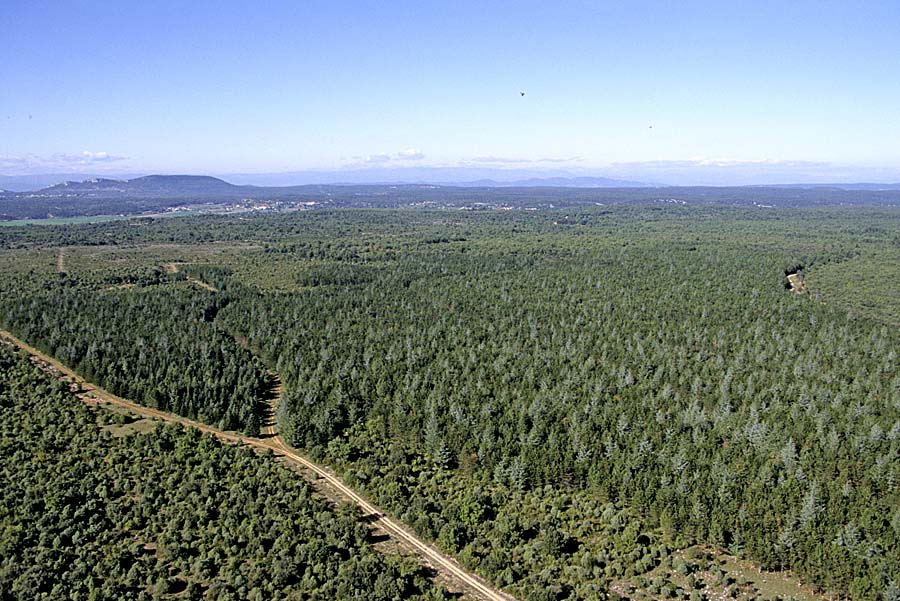 00foret-3-e
