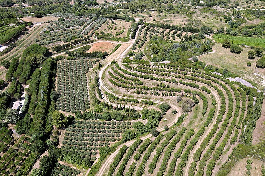 00foret-languedoc-1-0708