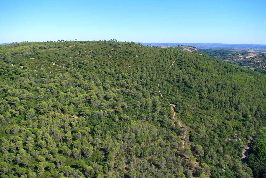 00foret-languedoc-11-0806