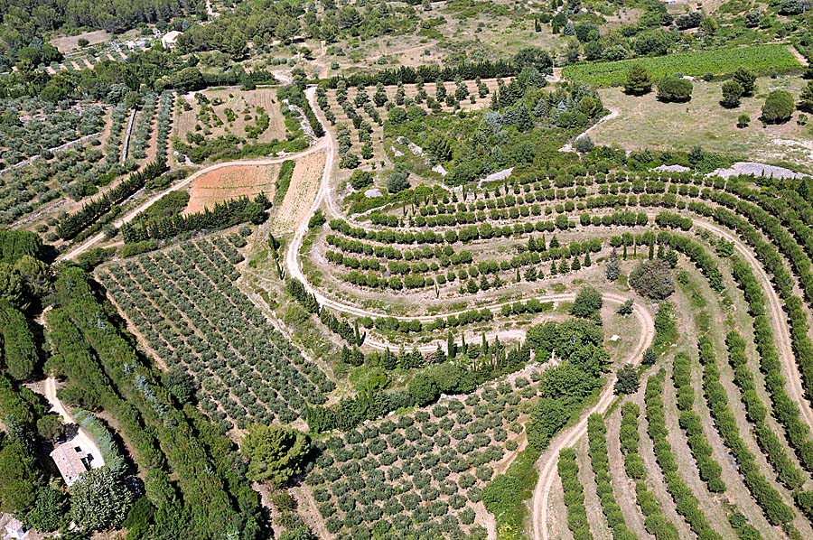 00foret-languedoc-3-0708