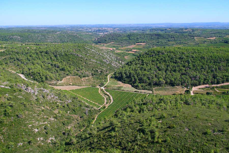 00foret-languedoc-3-0806