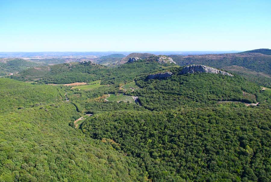 00foret-languedoc-7-0806