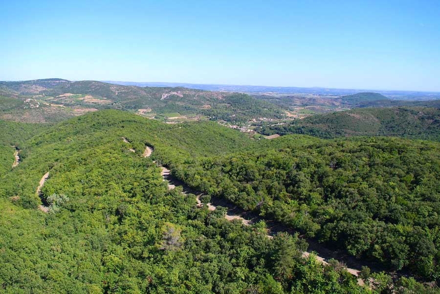 00foret-languedoc-9-0806