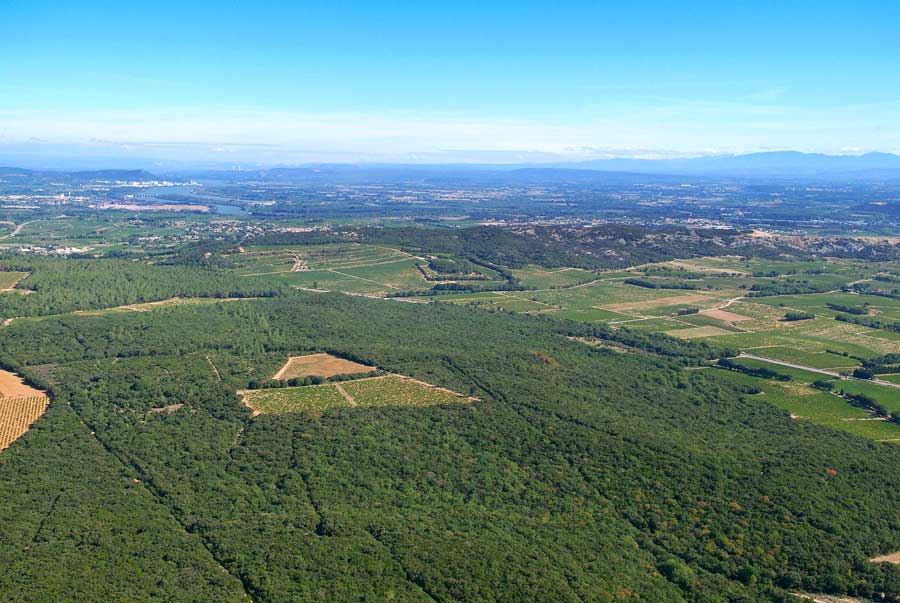 00foret-midi-2-0806