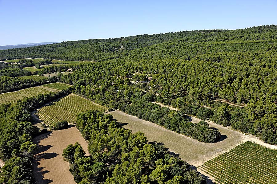 00foret-provence-22-0911