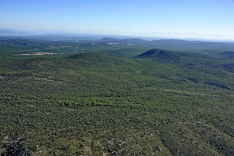 00foret-provence-24-0911