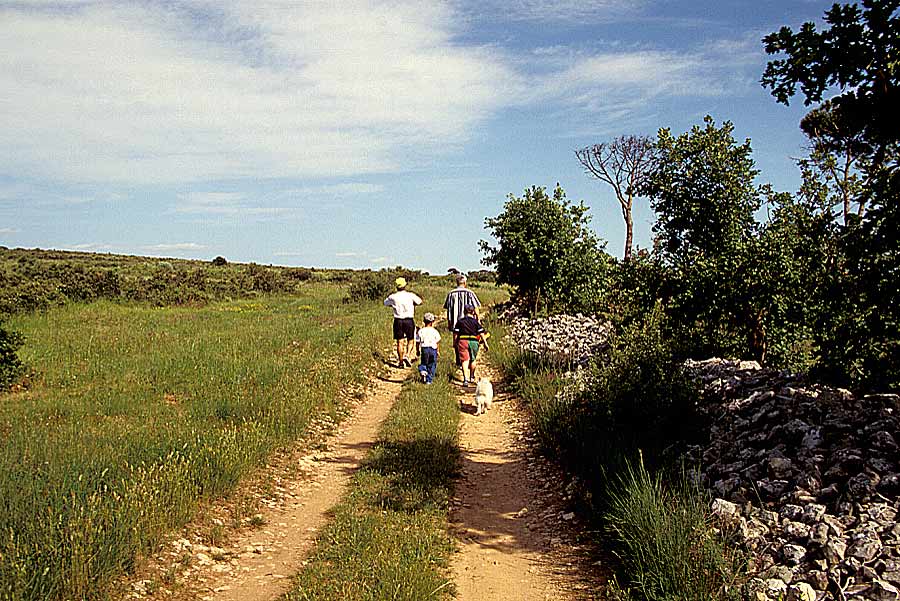 00garrigue-10-e