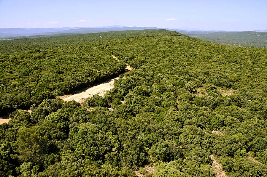 00garrigue-2-0608