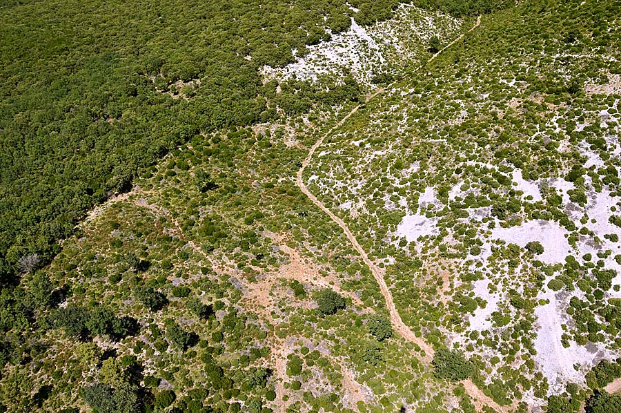 00garrigue-3-0608