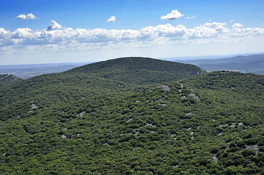 00garrigue-3-0611