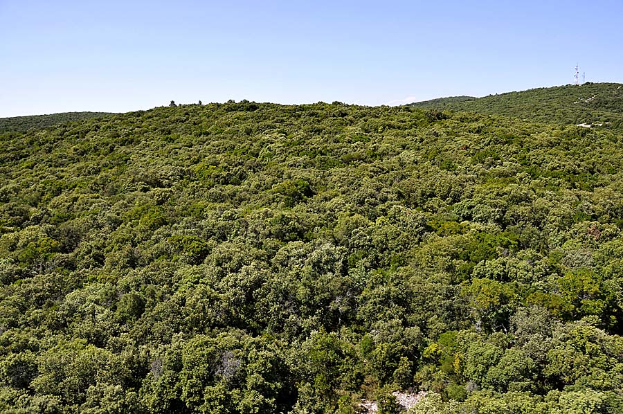 00garrigue-4-0608