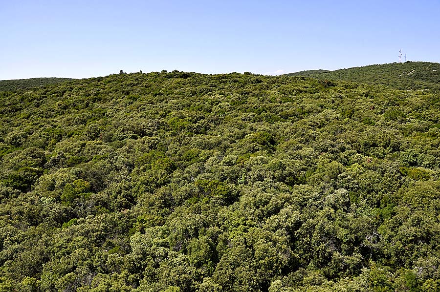 00garrigue-5-0608