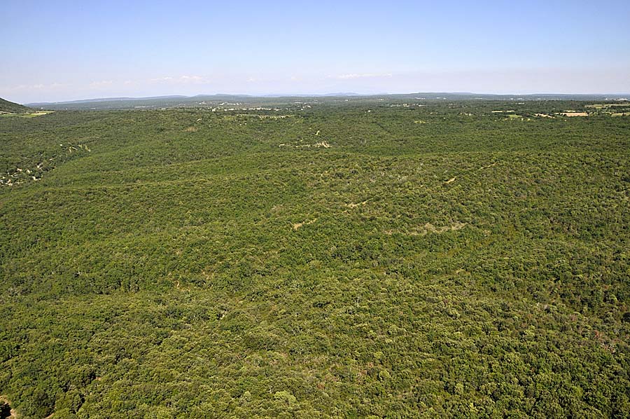 00garrigue-5-0610