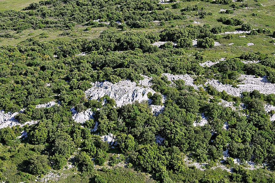 00garrigue-6-0608