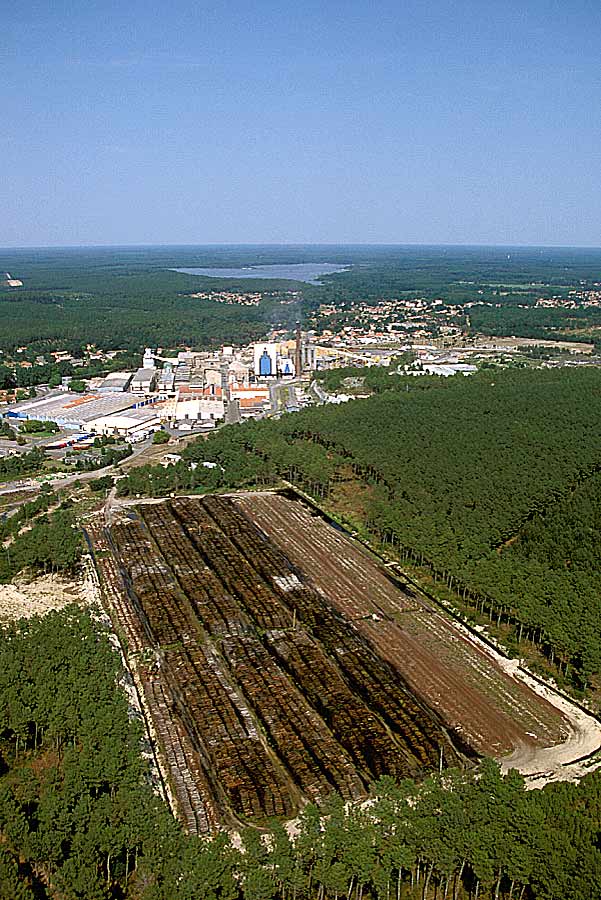 00ind-bois-landes-5-e