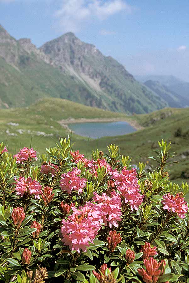 00lac-de-chesery-1-e
