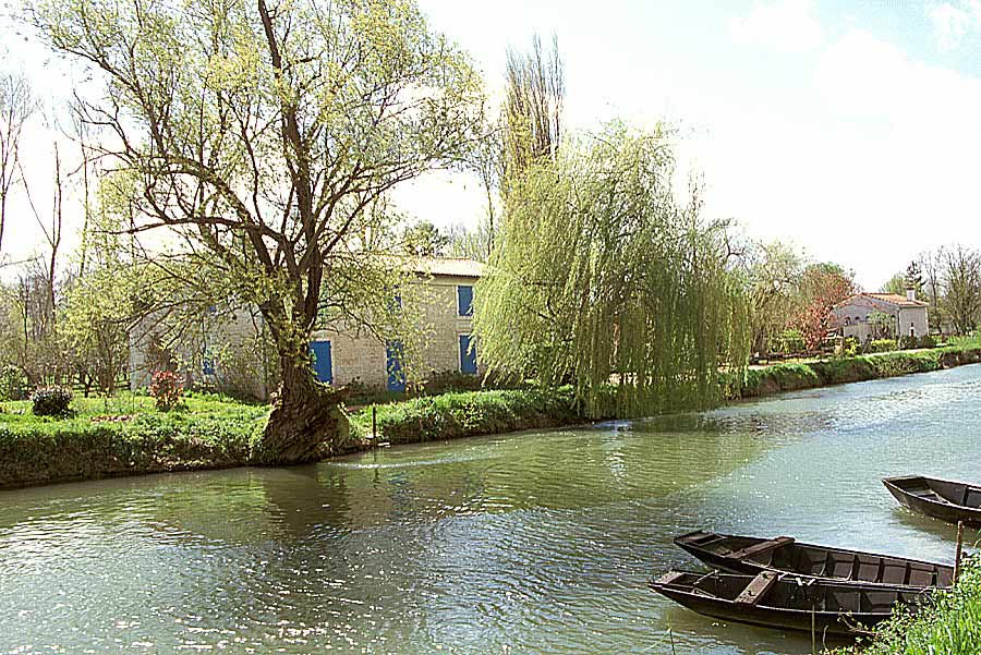 00marais-poitevin-2-e