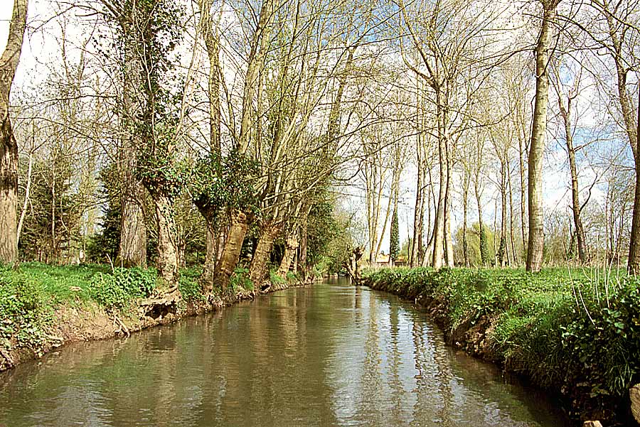 00marais-poitevin-6-e