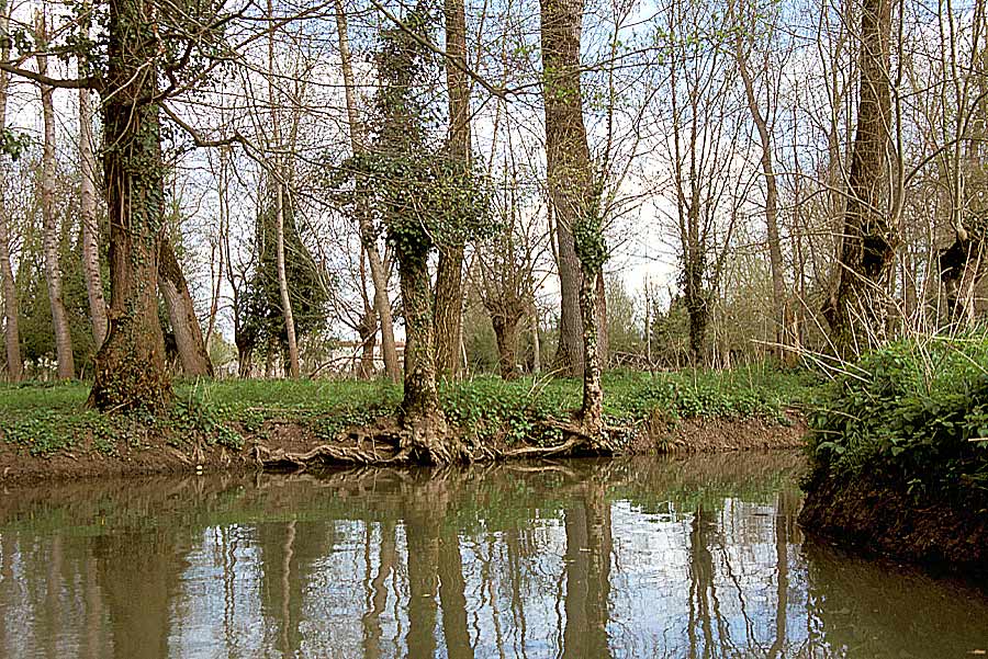 00marais-poitevin-8-e