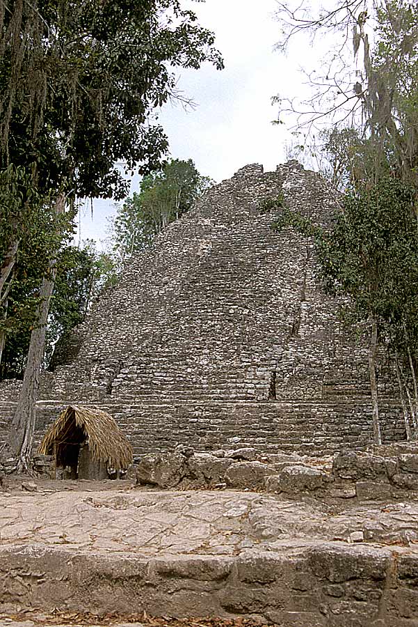 00mex-coba-8-e