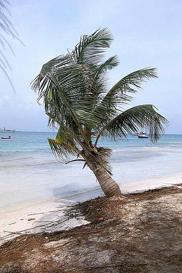 00mex-isla-mujeres-19-e