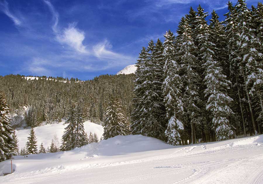 00neige-alpes-sol-10-h04