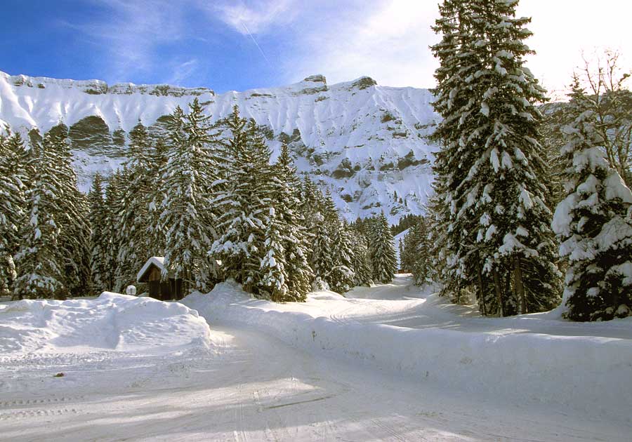 00neige-alpes-sol-4-h04