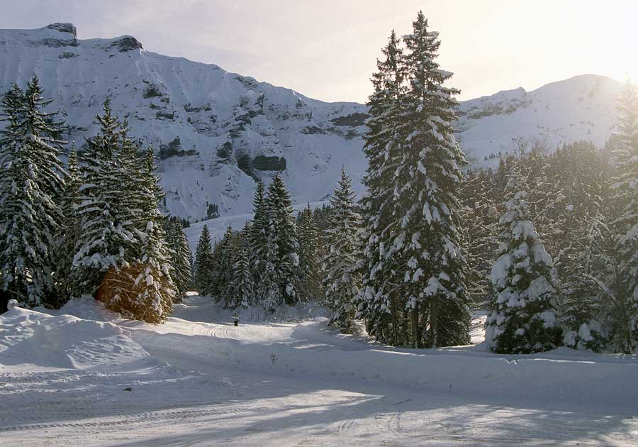 00neige-alpes-sol-6-h04