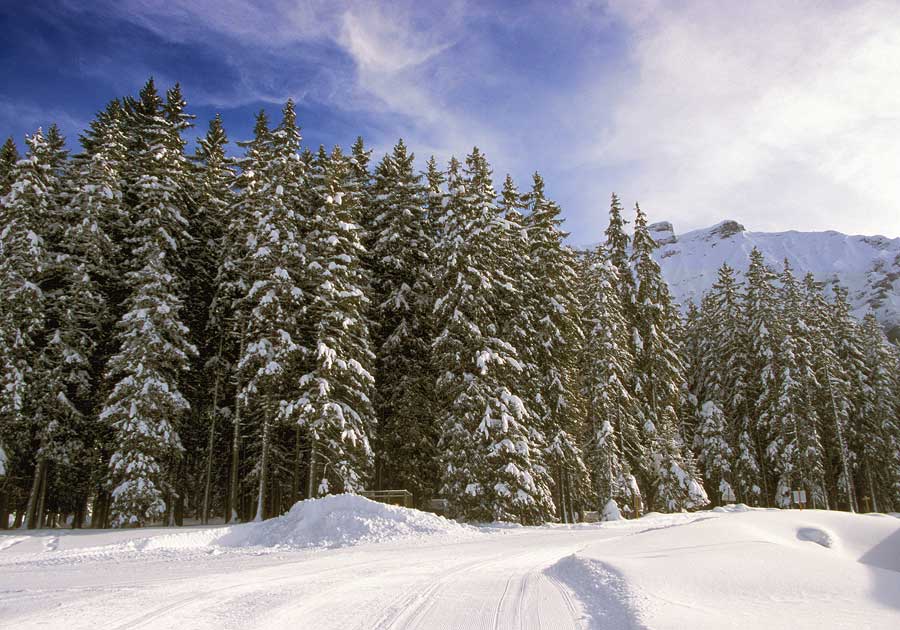 00neige-alpes-sol-8-h04