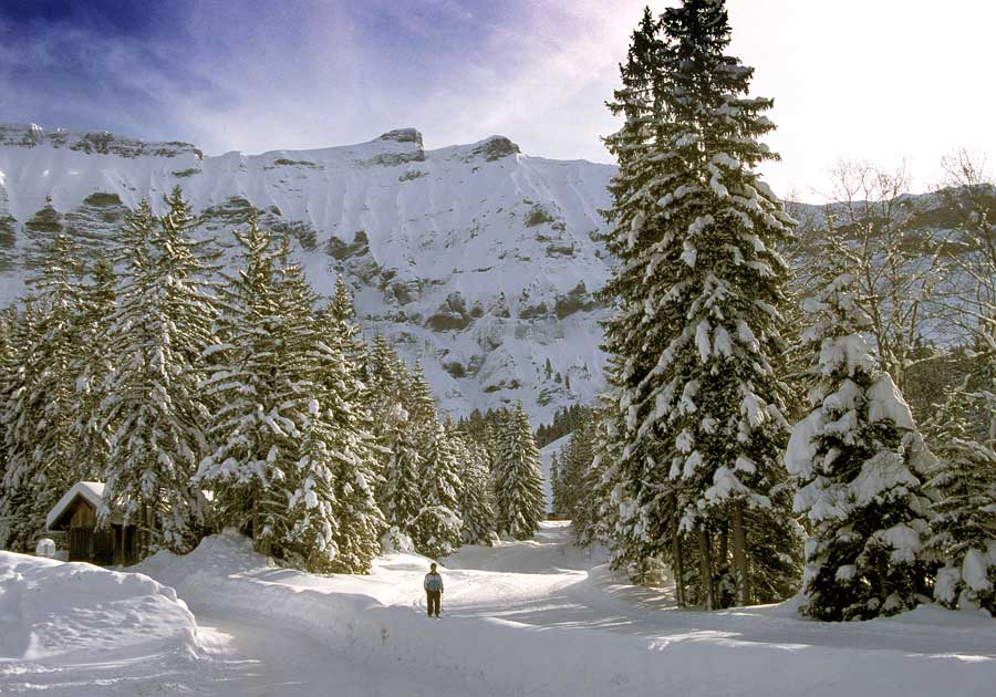 00neige-alpes-sol-9-h04