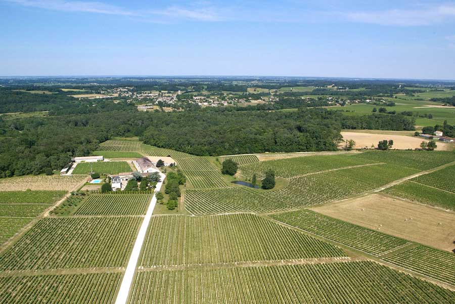 00vigne-bordelais-1-0605