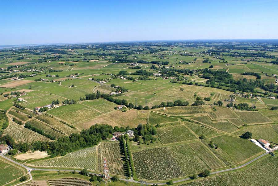 00vigne-bordelais-10-0605