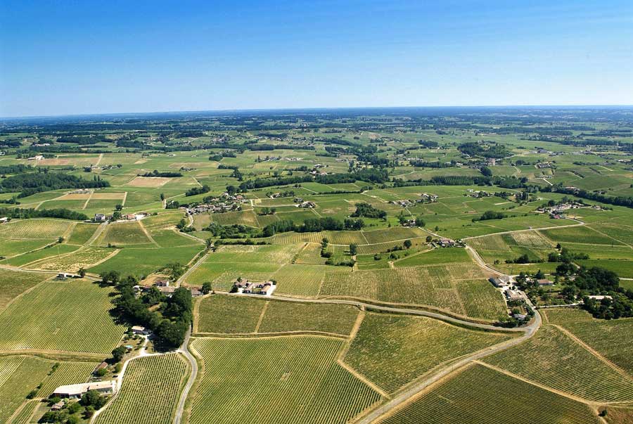 00vigne-bordelais-11-0605