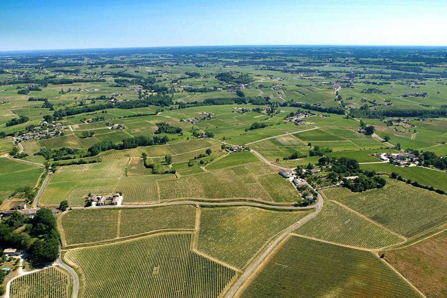 00vigne-bordelais-12-0605