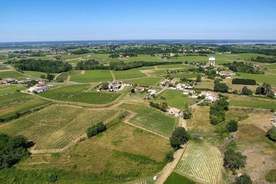 00vigne-bordelais-16-0605
