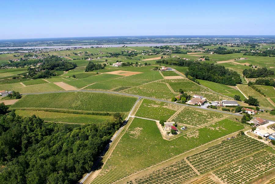 00vigne-bordelais-17-0605