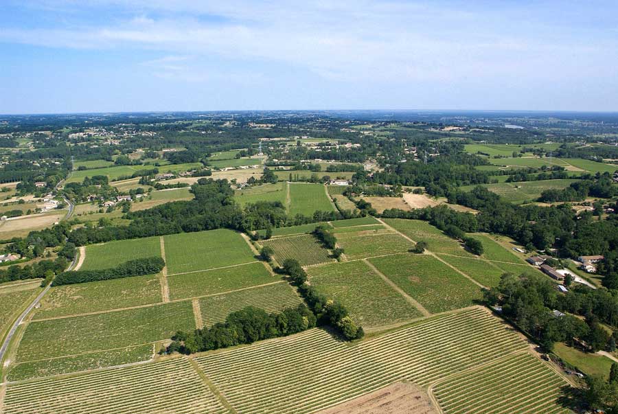 00vigne-bordelais-20-0605