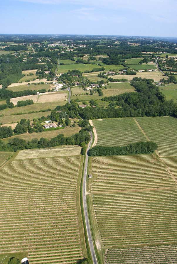 00vigne-bordelais-21-0605
