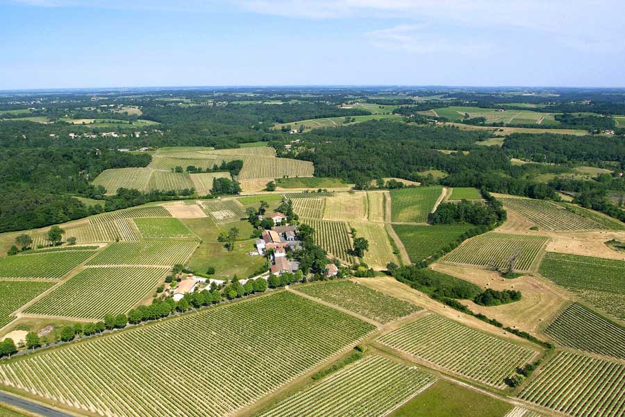 00vigne-bordelais-22-0605