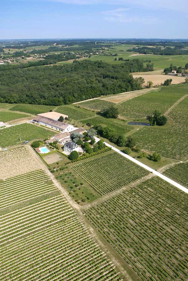 00vigne-bordelais-24-0605