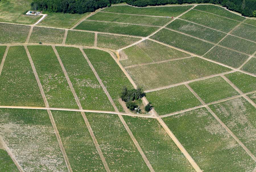 00vigne-bordelais-3-0605