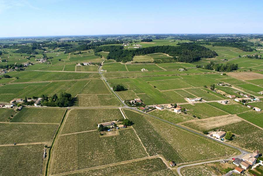 00vigne-bordelais-32-0605