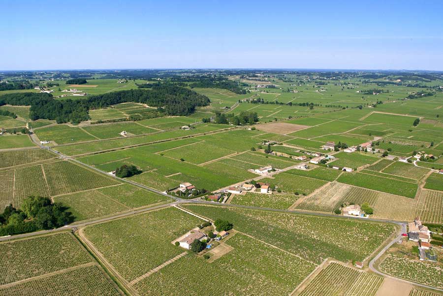 00vigne-bordelais-33-0605