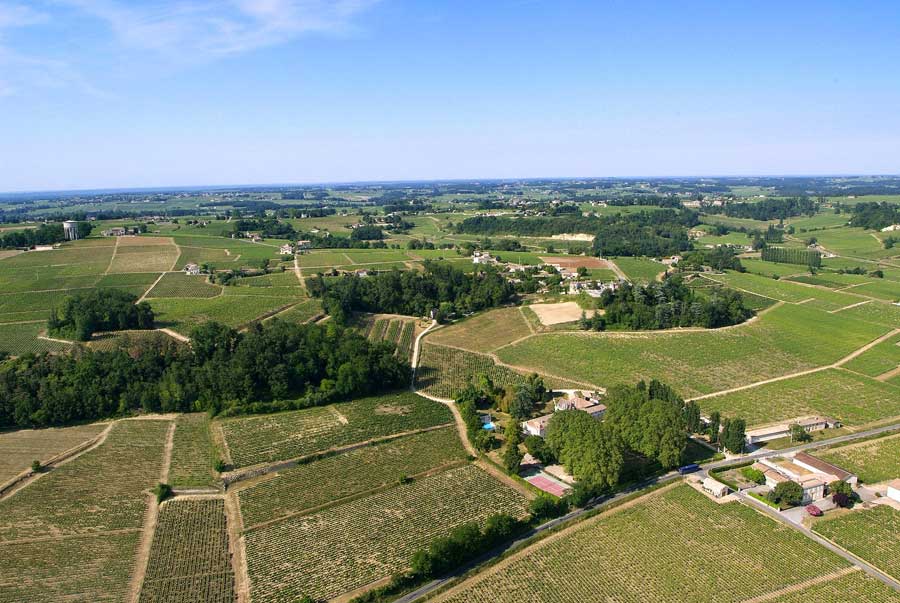 00vigne-bordelais-34-0605