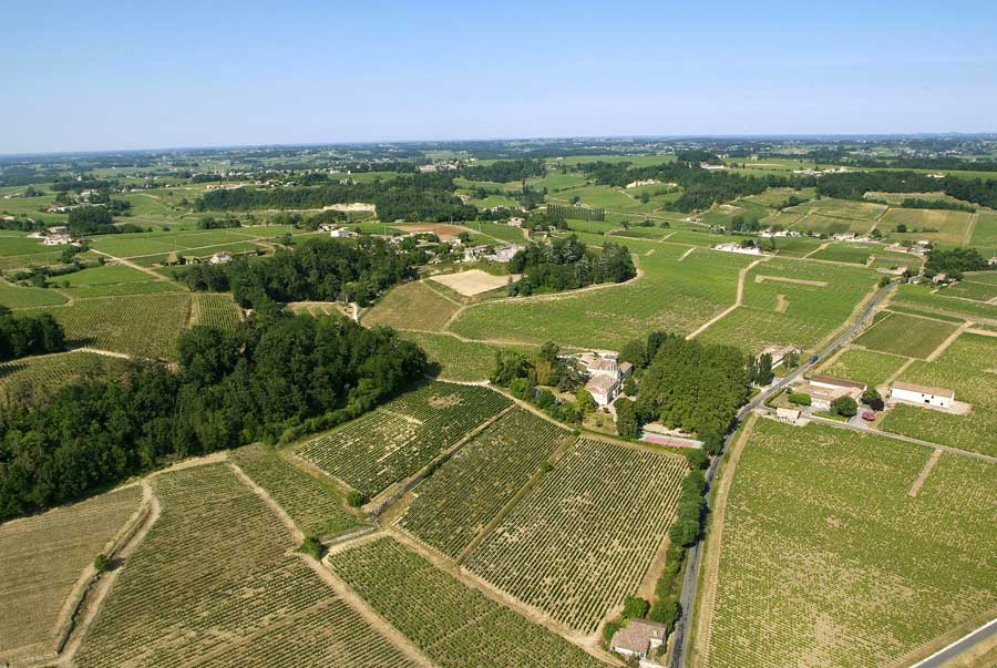 00vigne-bordelais-35-0605