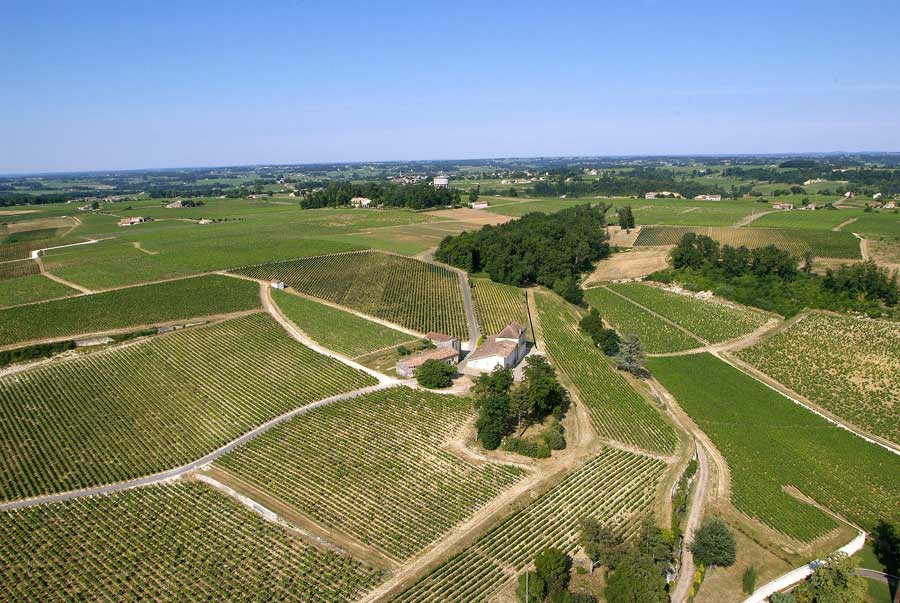 00vigne-bordelais-36-0605