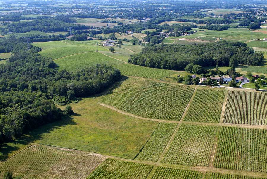 00vigne-bordelais-40-0605